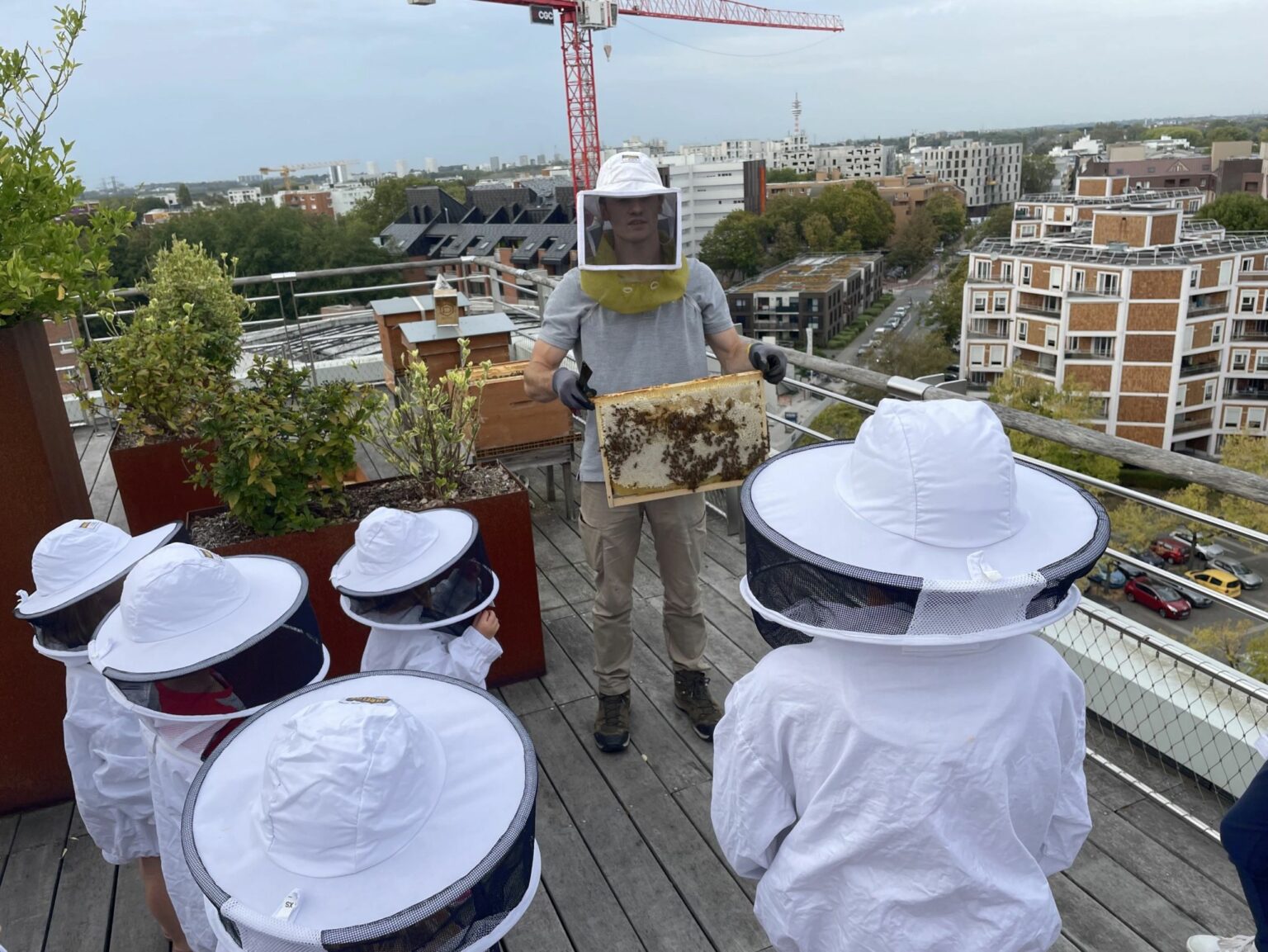 [Biodiversité] 🐝Récolte du miel   